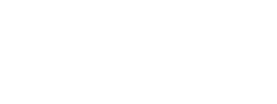 EagleEi Flight Systems Logo